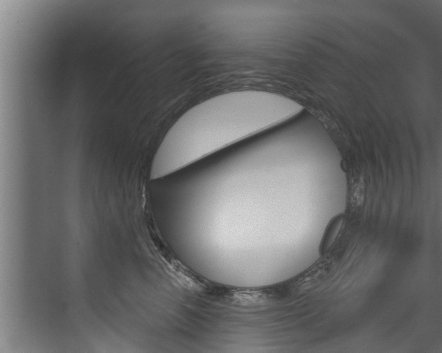 X0000074320666200608251032