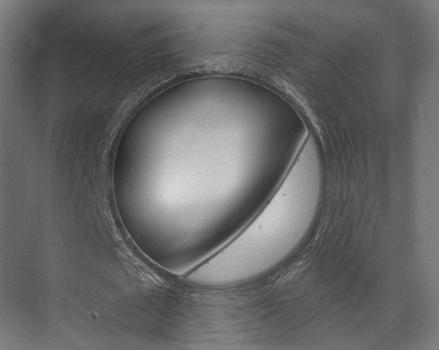 X0000074320673200608251031