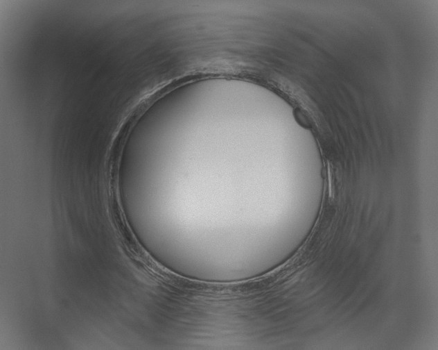 X0000074320675200608251031