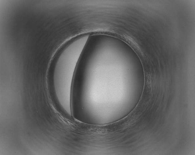 X0000074320676200608251031