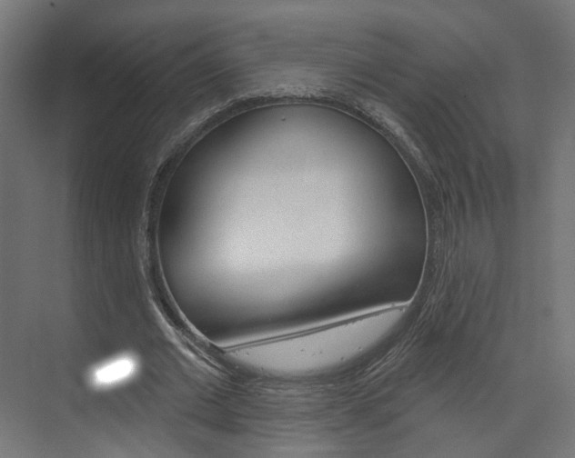 X0000074320677200608251031