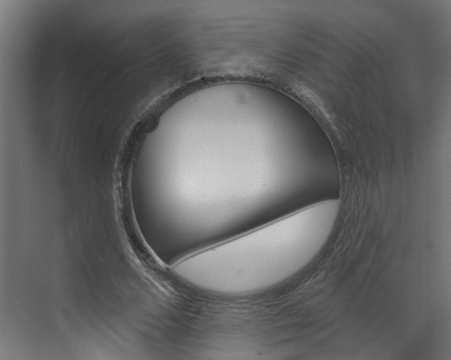 X0000074320680200608251031