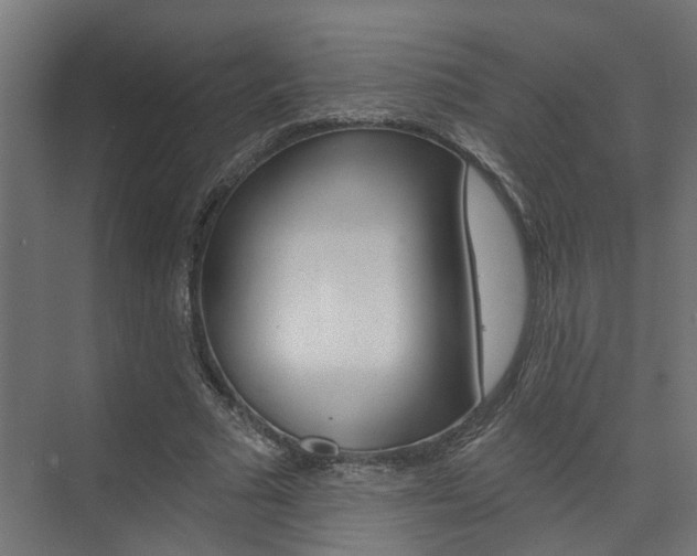X0000074320681200608251031