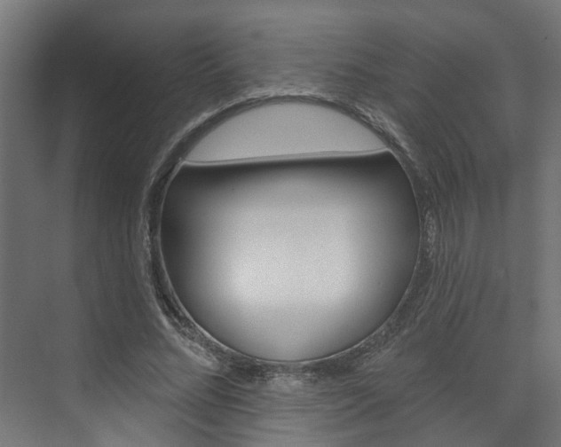 X0000074320684200608251031