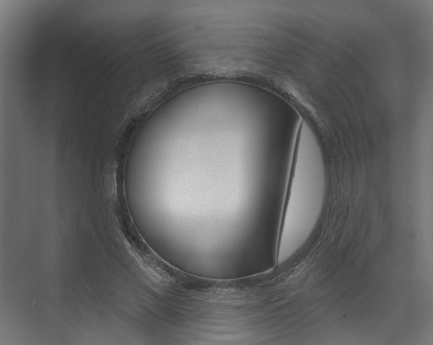 X0000074320685200608251031