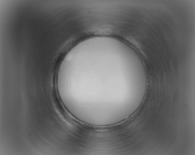 X0000074320686200608251031