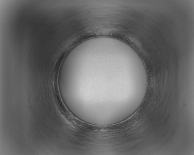 X0000074320687200608251031