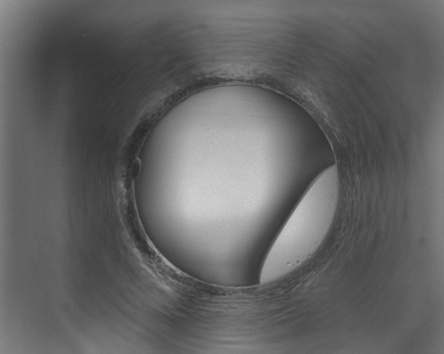 X0000074320688200608251031