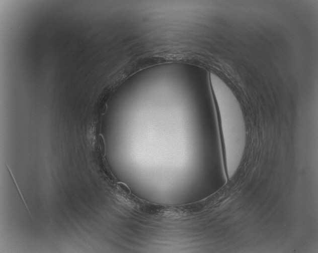 X0000074320697200608251031