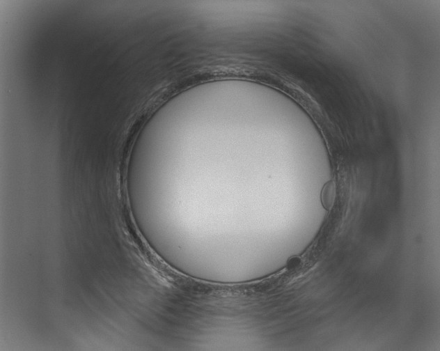 X0000074320729200608251030