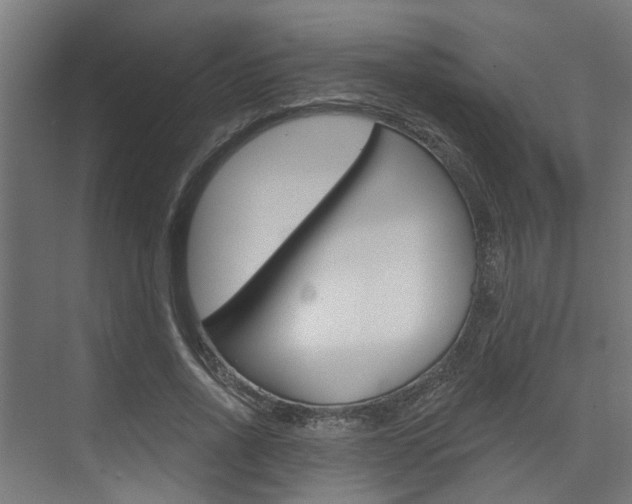 X0000074320734200608251030