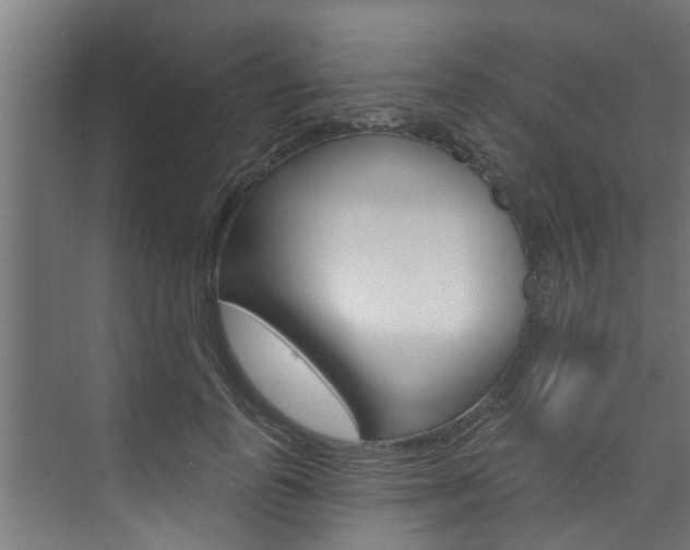 X0000074320747200608251030