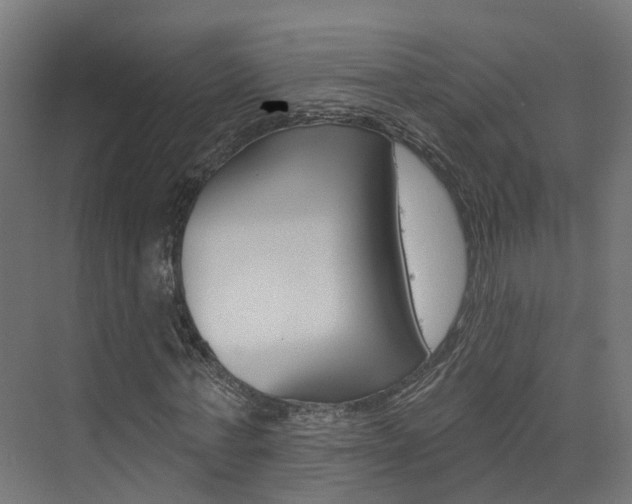 X0000074320771200608251029