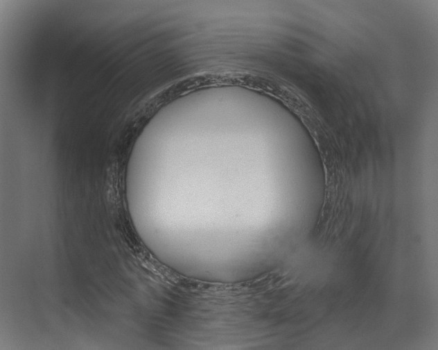 X0000074320773200608251029