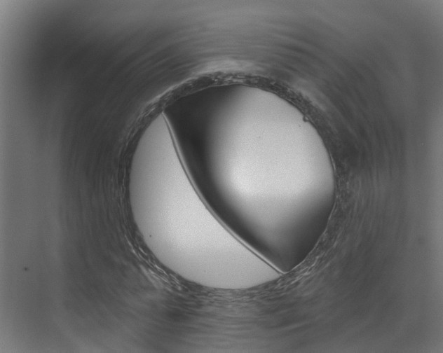 X0000074320775200608251029