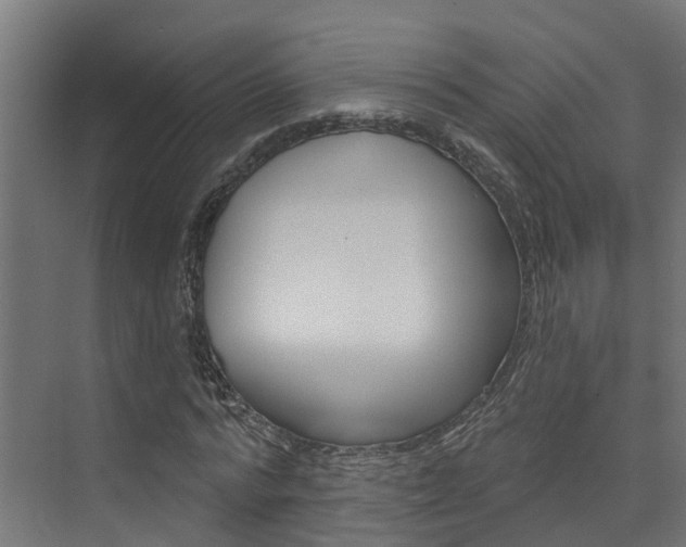 X0000074320776200608251029
