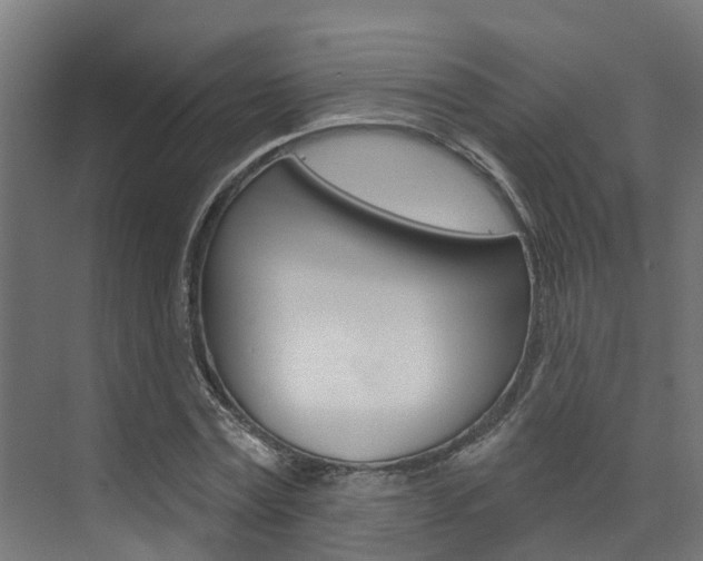 X0000074320779200608251029