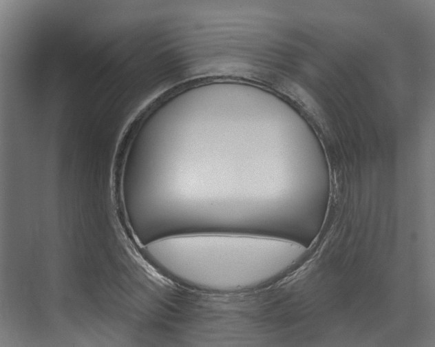 X0000074320780200608251029