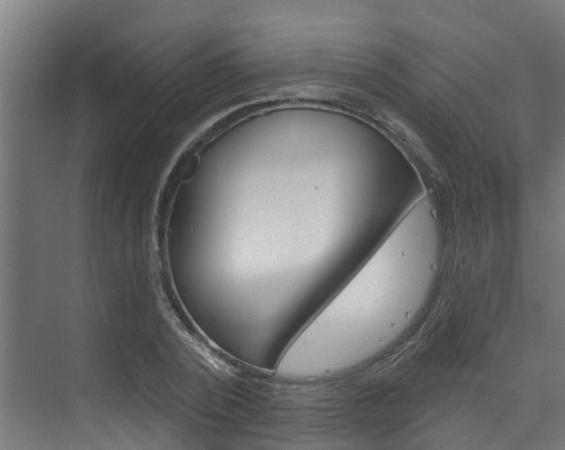 X0000074320784200608251029