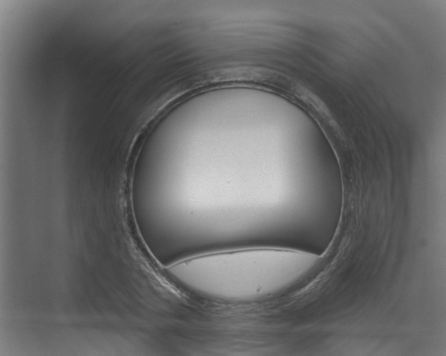 X0000074320786200608251029