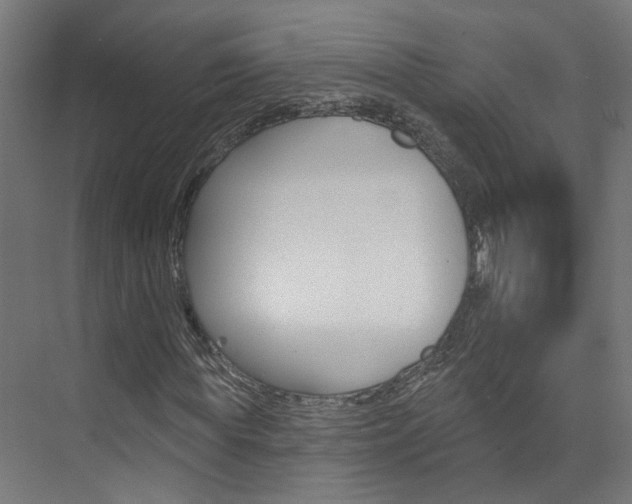 X0000074320819200608251028