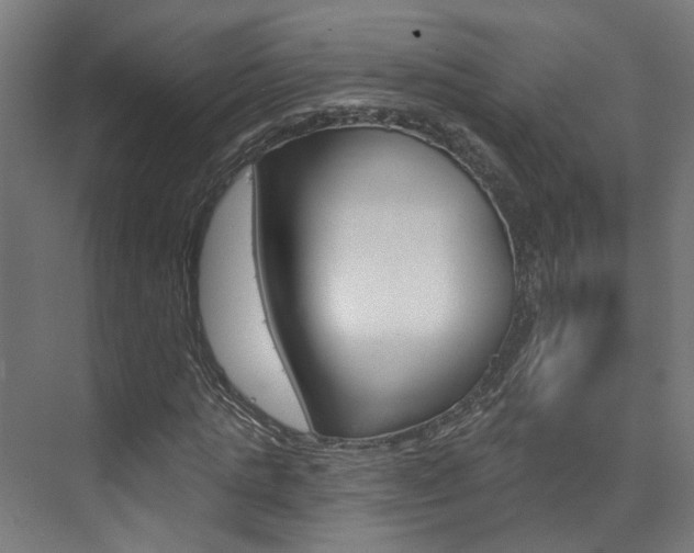 X0000074320821200608251028
