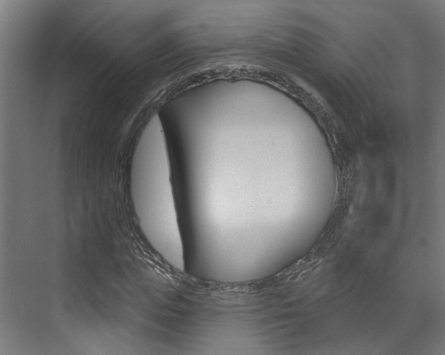 X0000074320823200608251028