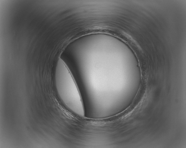 X0000074320825200608251028