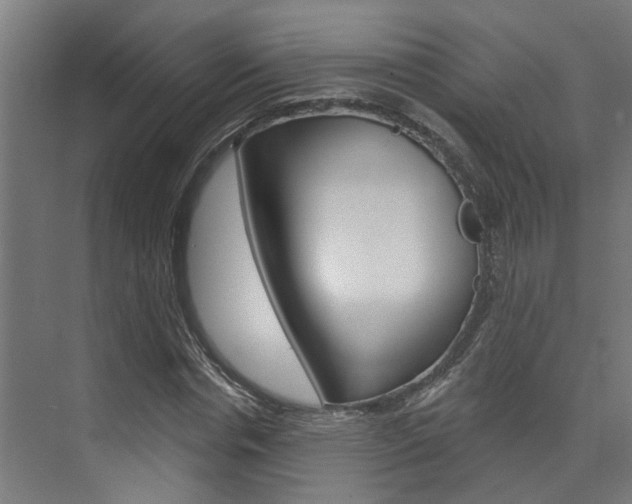 X0000074320826200608251028
