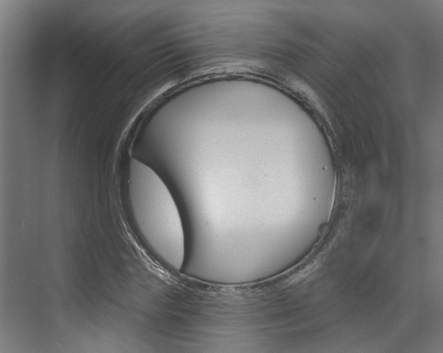 X0000074320827200608251028