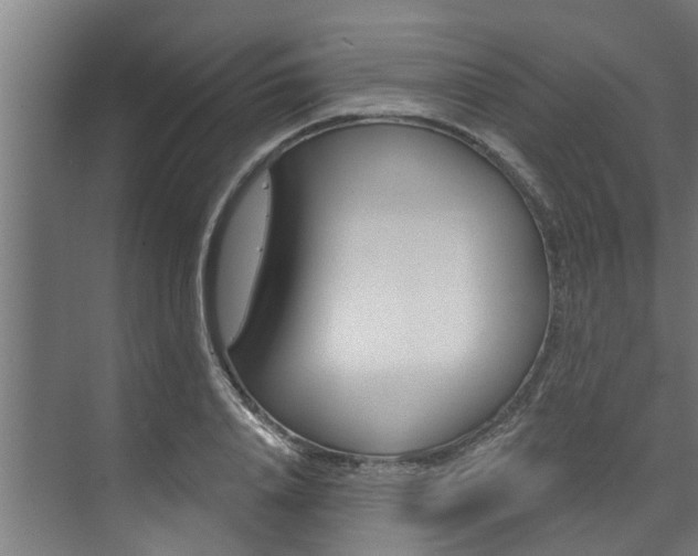 X0000074320840200608251028