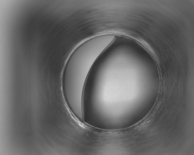 X0000074320862200608251029