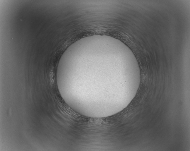 X0000074320866200608251028