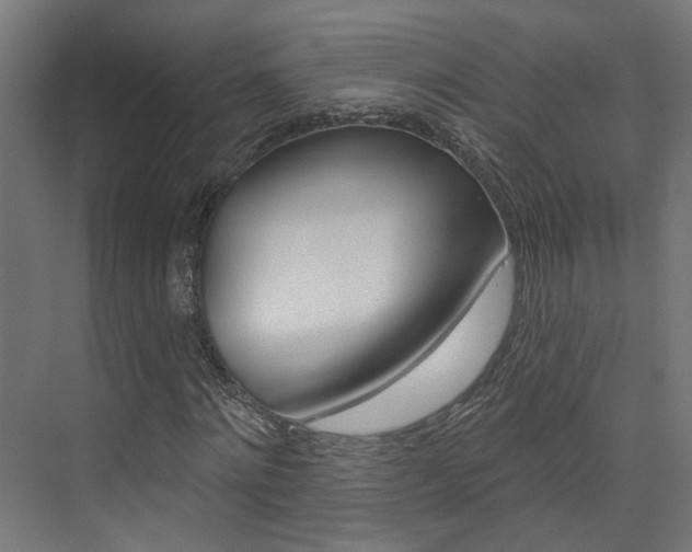 X0000074320868200608251028