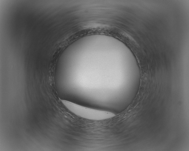X0000074320869200608251028
