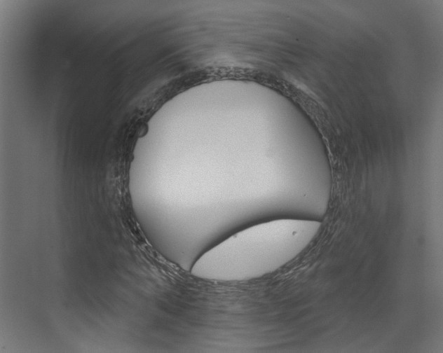 X0000074320870200608251028