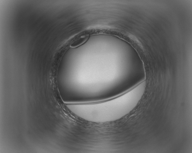 X0000074320872200608251028