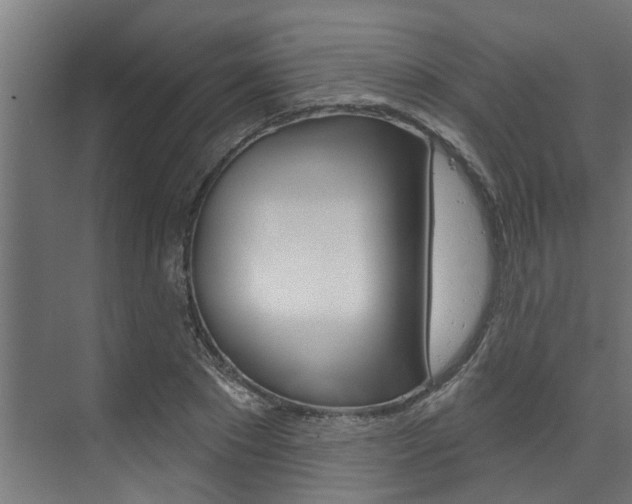 X0000074320881200608251028