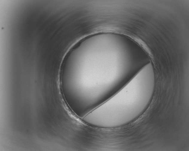 X0000074320904200608251027