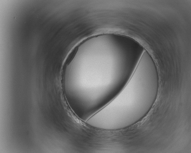 X0000074320912200608251027