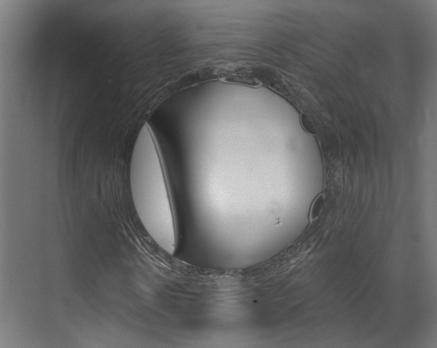 X0000074320914200608251026