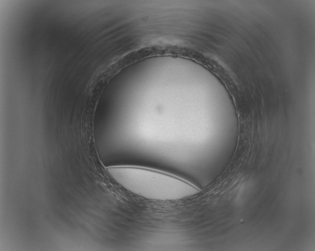 X0000074320919200608251026