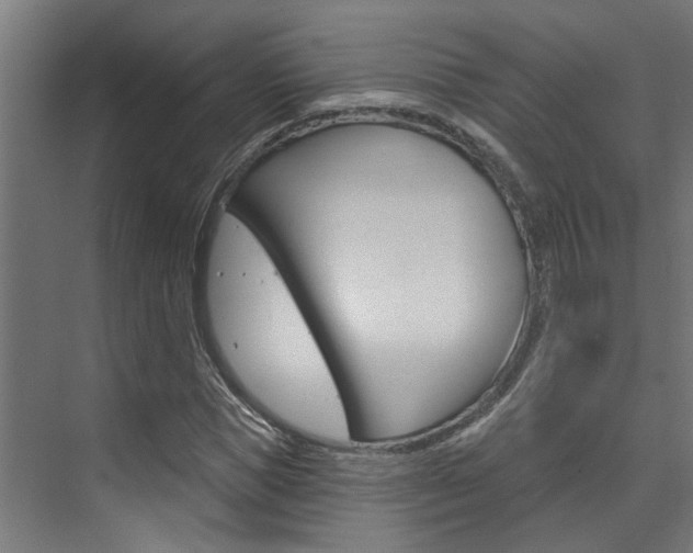 X0000074320921200608251026