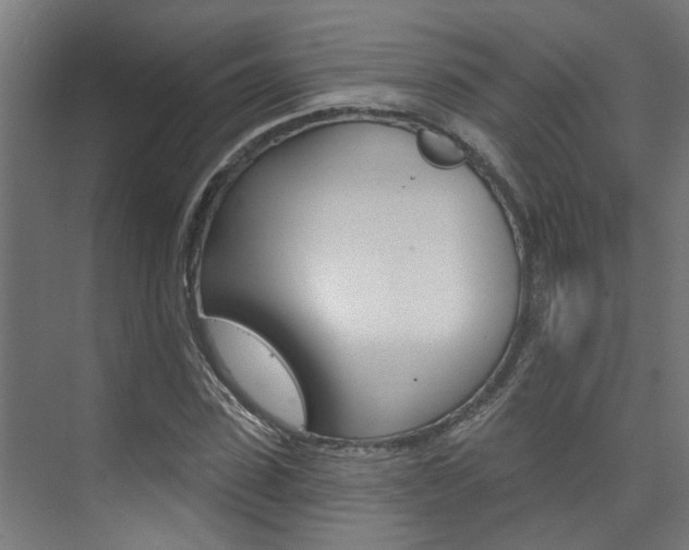 X0000074320923200608251026