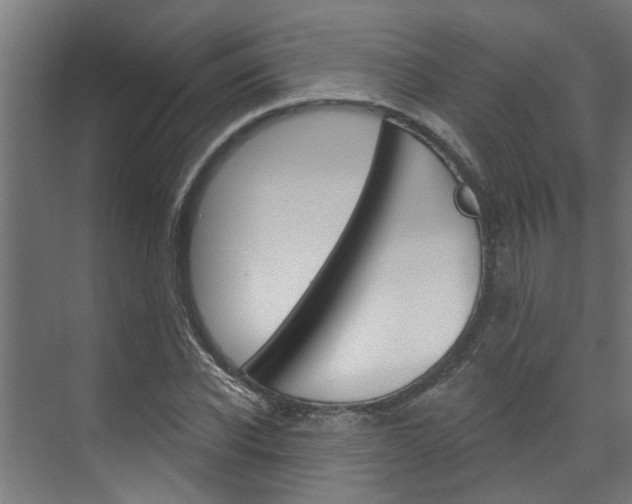 X0000074320926200608251027