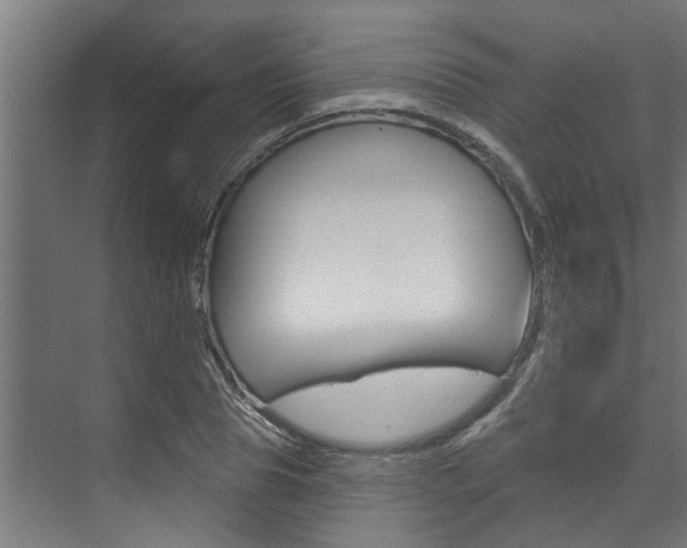 X0000074320929200608251027
