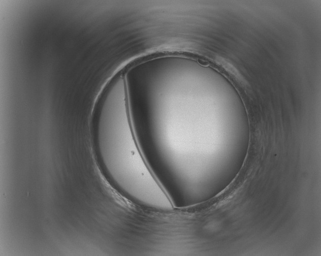 X0000074320934200608251027