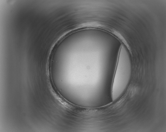 X0000074320939200608251027