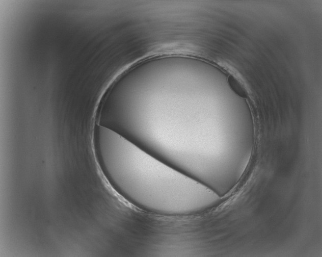 X0000074320941200608251027