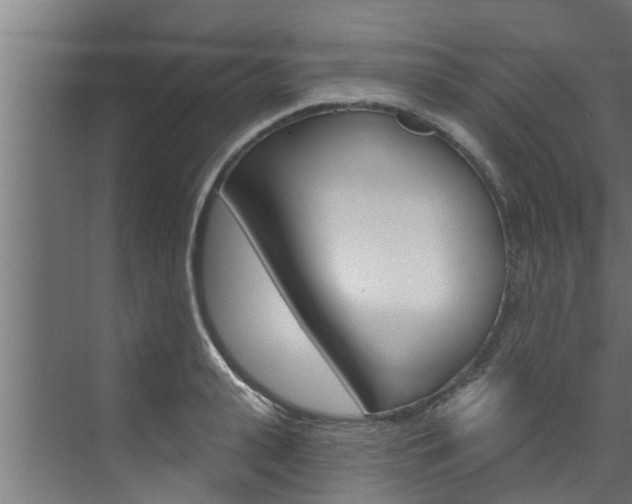 X0000074320943200608251027